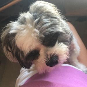 Meet your Posher, Vicki